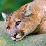 How To Get Over Depression Fast