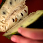 Soursop Juice Cures Cancer lol